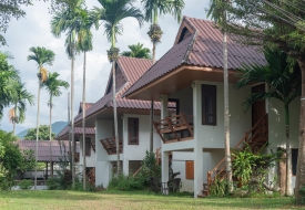 Betel Palm Village ที่พักปาย สัตว์เลี้ยงเข้าพักได้ ใกล้ถนนคนเดินปาย พาหมาแมวเที่ยวแม่ฮ่องสอนกัน