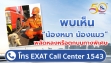 หากพบเห็นน้องหมาน้องแมว บนทางพิเศษ โทรแจ้ง EXAT Call Center 1543 ได้เลยน้องหมาปลอดภัย ตลอด 24 ชั่วโมง