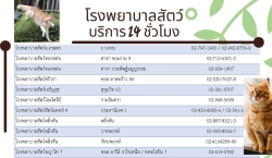 รวมชื่อรพ.สัตว์ 24 ชม. รับผ่าตัด รับฝากพิเศษ ธนาคารเลือด แยกตามพื้นที่ และหมวดหมู่ สำหรับคนรักสัตว์เลี้ยง