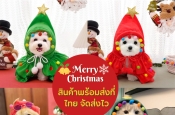 ชุดคริสต์มาสสำหรับสัตว์เลี้ยง ชุดซานตาครอสสำหรับสัตว์เลี้ยง ชุดคริสต์มาสหมาแมว แซนตี้สุนัข ซานต้าหมาแมว Christmas Santa Dog Cat Pet Costume มีทุกแบบ ทั้งหมวกกวาง หมวกซานต้า ผ้าคลุมชุดคริสต์มาส ผ้าพันคอ พร็อพวันคริสต์มาส อัพเดทใหม่ ปี 2023-2024