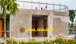 Dog Park สวนสาธารณะ สัตว์เลี้ยงเข้าได้ สวนเทียนทะเลพฤกษาพัฒนาภิรมย์ พาหมาแมวไปเดินออกกำลังกายกัน