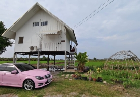 บ้านทุ่ง บางปลาม้า ที่พักสุพรรณบุรี สัตว์เลี้ยงเข้าพักได้ ธรรมชาติสุดๆ วิวทุ่งนา