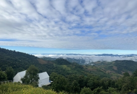 U SKY ดอยช้าง เชียงราย สัตว์เลี้ยงเข้าพักได้ พาน้องหมาแมว Afternoon Tea ชมวิวสวยๆกัน