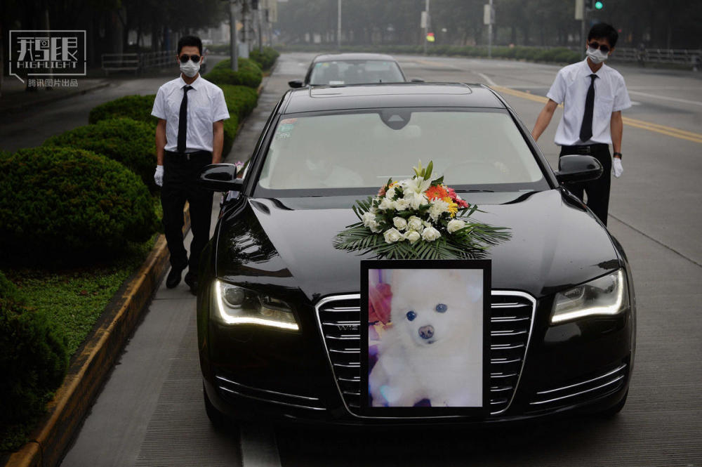 funeralfordog2.jpg