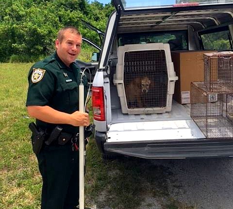 6_16_16-Police-Officer-Adopts-the-Puppy-He-Saved-from-Drowning3.jpg