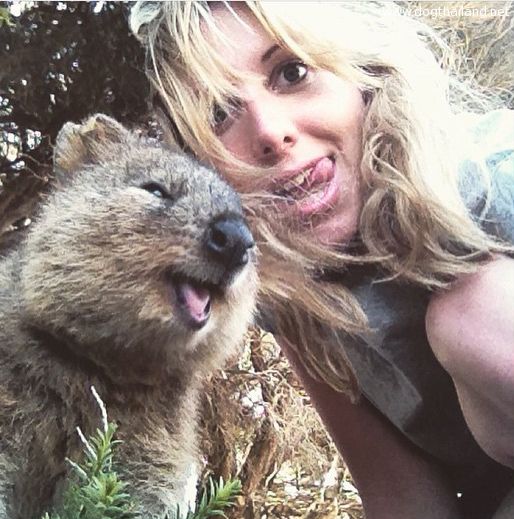 quokka-(5).jpg