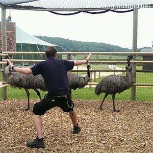 zookeepers-recreating-jurassic-world-raptor-scene-34__300.jpg