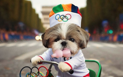 ชิสุห์น่ารัก Shih Tzu Olympics2024 ภาพน้องหมาชิสุห์แข่งกีฬาโอลิมปิก ปารีส 2024 เล่นกีฬาหลากหลาย ภาพเท่ห์มาก