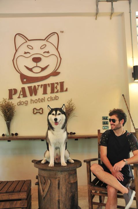 โรงแรม Pawtel แม่ริม เชียงใหม่ หมาเล็กหมาใหญ่พักได้ ใกล้ที่เที่ยวม่อนแจ่ม พาหมาเที่ยวเชียงใหม่กัน