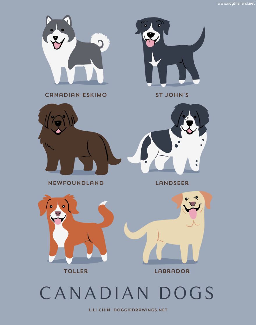 Dogs-Of-The-World-Cute-Poster-Series-Shows-The-Geographic-Origin-Of-Dog-Breeds12__880.jpg