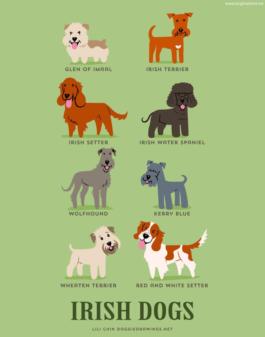 Dogs-Of-The-World-Cute-Poster-Series-Shows-The-Geographic-Origin-Of-Dog-Breeds7__880.jpg