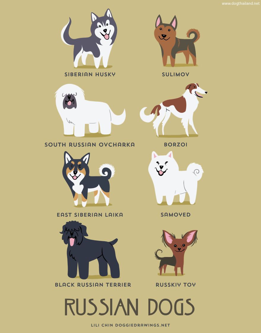 Dogs-Of-The-World-Cute-Poster-Series-Shows-The-Geographic-Origin-Of-Dog-Breeds9__880.jpg
