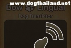 BowLingual Dog Translator แอพแปลภาษาหมา เห่า ร้อง ออกมา สื่อถึงอะไรนะ